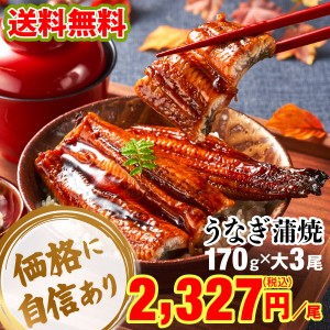 P2倍) うなぎ 国産 鰻 蒲焼き お歳暮 大サイズ 170g 3尾 送料無料