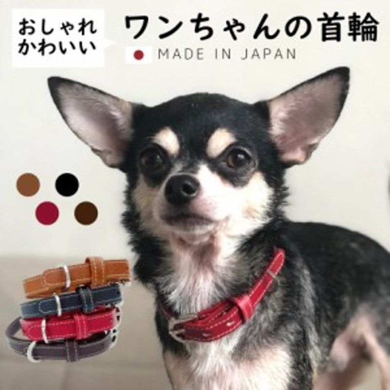 犬 首輪 おしゃれ 日本製 レザー 本革 チョーカー かわいい かっこいい おしゃれ 犬の首輪 小型犬 中型犬 ペット用品 犬用品 シンプル 黒 通販 Lineポイント最大1 0 Get Lineショッピング