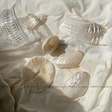 Korat. ins天然海螺貝殼珊瑚拍攝道具飾品項鏈耳釘裝飾j家居擺件