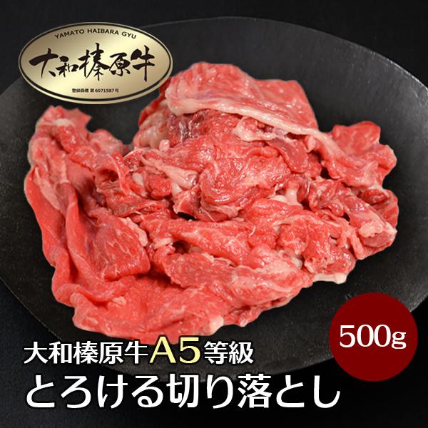 牛肉 肉 切り落とし 黒毛和牛 大和榛原牛 A5 とろける切り落とし 500g  送料無料 冷凍便