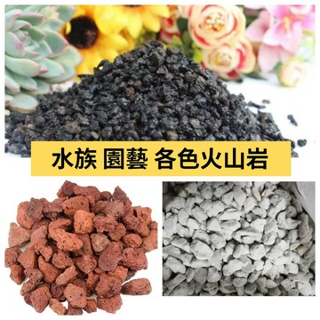 熊貓購物 黑火山岩 發票現貨 白火山 紅火山 多肉 水族過濾 消化菌 園藝 火山岩 水族 植物 多肉 土 植物 盆栽 土
