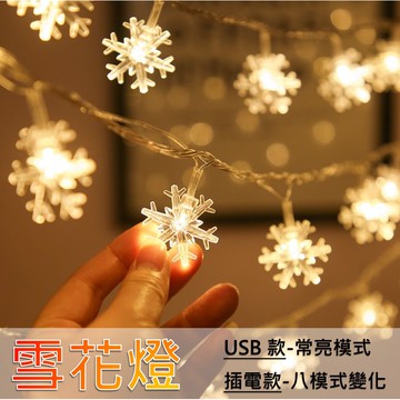 隔日到貨 雪花燈 燈串 10米 6米 聖誕燈 燈串 聖誕樹 交換禮物 聖誕樹燈 雪花燈串 下雪燈 聖誕裝飾 冰條燈