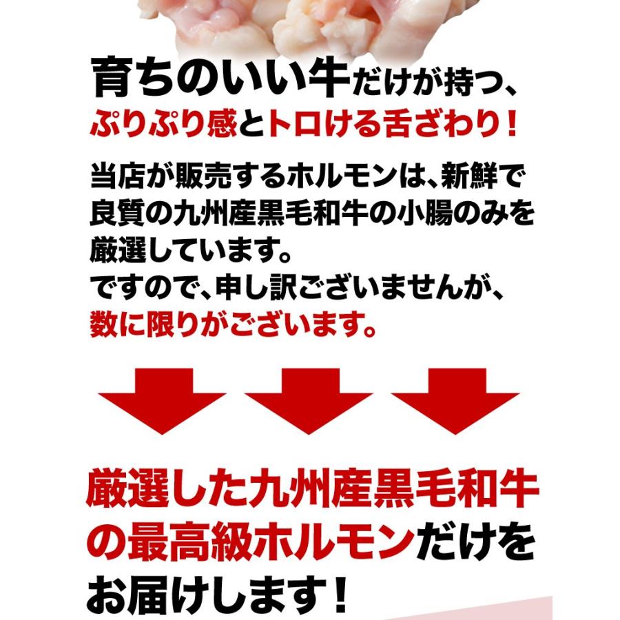 ホルモン 牛 博多 和牛小腸 九州産黒毛和牛 500g(100g x5袋) コプチャン モツ鍋 焼肉 炭火焼き クール