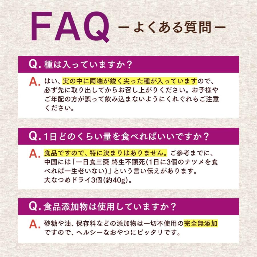 なつめ ナトゥリー 大なつめドライ（種あり）100g ナツメ ドライフルーツ 棗 なつめ