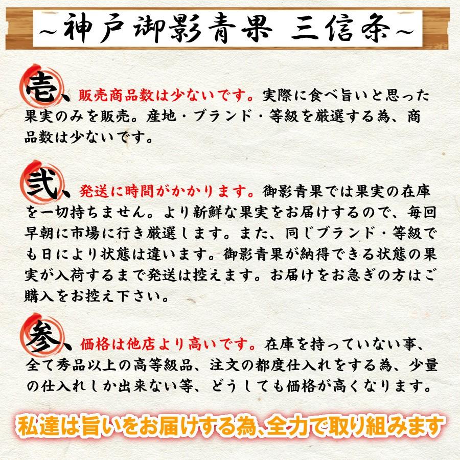 サンふじ りんご 3kg 甘い 特秀 長野県 林檎 通販 送料無料 12月 旬 果物 贈答 ギフト 大容量