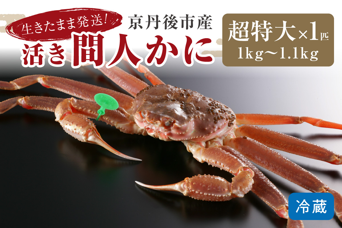 最高鮮度の生きたまま発送！京丹後市産活間人かに　1kg～1.1kg超特大サイズ 北畿水産 HK00141