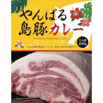 ご当地カレー　沖縄　やんばる島豚カレー　10食セット