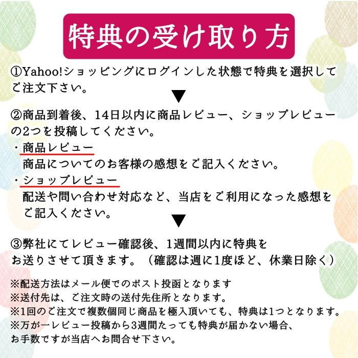 濃蜜 バナナチップス 500g チャック付き お徳用 ドライフルーツ キャベンディッシュ種 バナナ使用 簡易包装 バナナ  ココナッツオイル レビュー特典付き