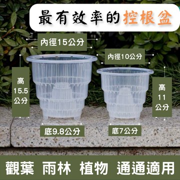 【台灣現貨-免運】極致養根 養根盆 引根槽 通風 透明控根盆 控根盆 養根 透明盆 塑膠盆 花盆 觀葉盆栽