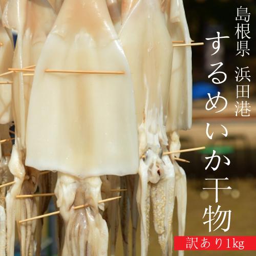 イカ　干物　スルメイカ干物＜訳あり1kg＞