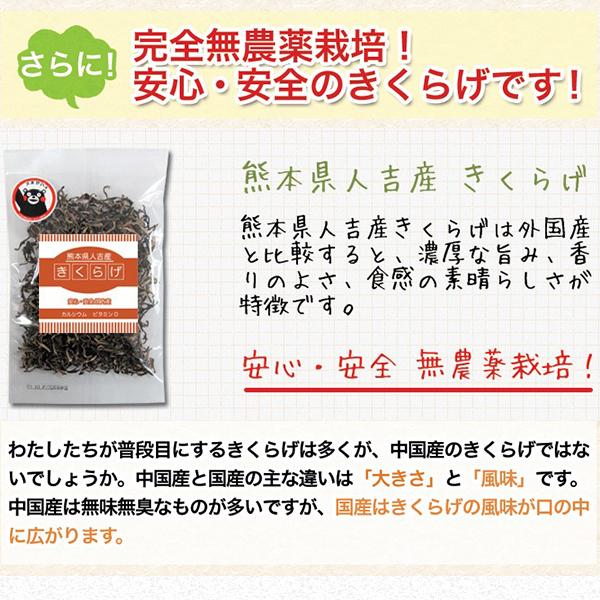 濃厚な旨みと豊かな香り 熊本県 人吉産 きくらげ(20g)×6袋 スライスタイプ 国産 キクラゲ 九州 木耳 きくらげ 希少 わけあり セール 食品 野菜 健康 b1