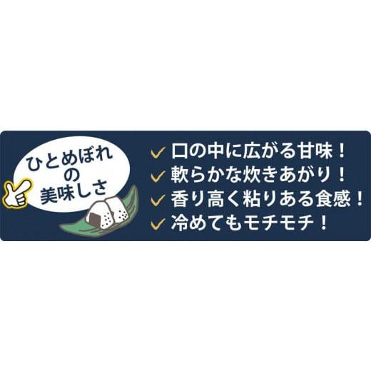 ふるさと納税 宮城県 登米市 令和5年産宮城県登米市産ひとめぼれ精米　５kg×２個セット