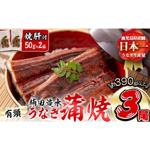 ふるさと納税 鹿児島県 志布志市 b0-040 楠田の極うなぎ蒲焼き 130g以上×3尾(計390g以上) 焼肝2袋付き