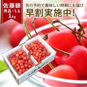 2024年6月下旬 先行早割 さくらんぼ 佐藤錦 贈答品 1kg（500g×2） 山形県産 東根市 産地直送 L 2Lサイズ なんと、名水百選の水を使って