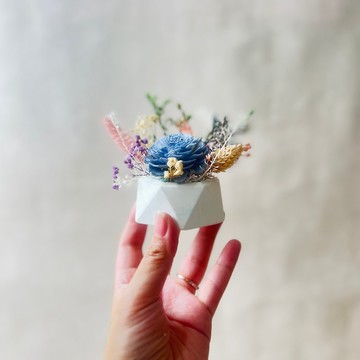 七夕畢業禮物 教師節 情人禮物特價商品(現貨)-擴香永生花小盆栽