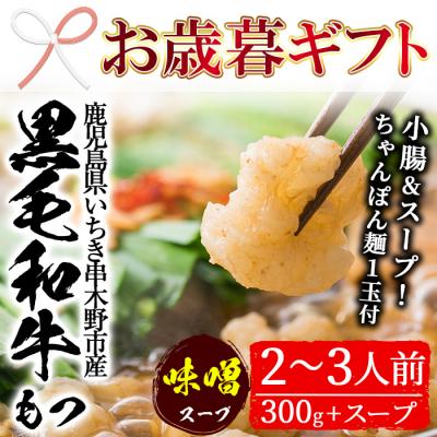 ふるさと納税 いちき串木野市 鹿児島県産黒毛和牛もつ鍋セット(2〜3人前)