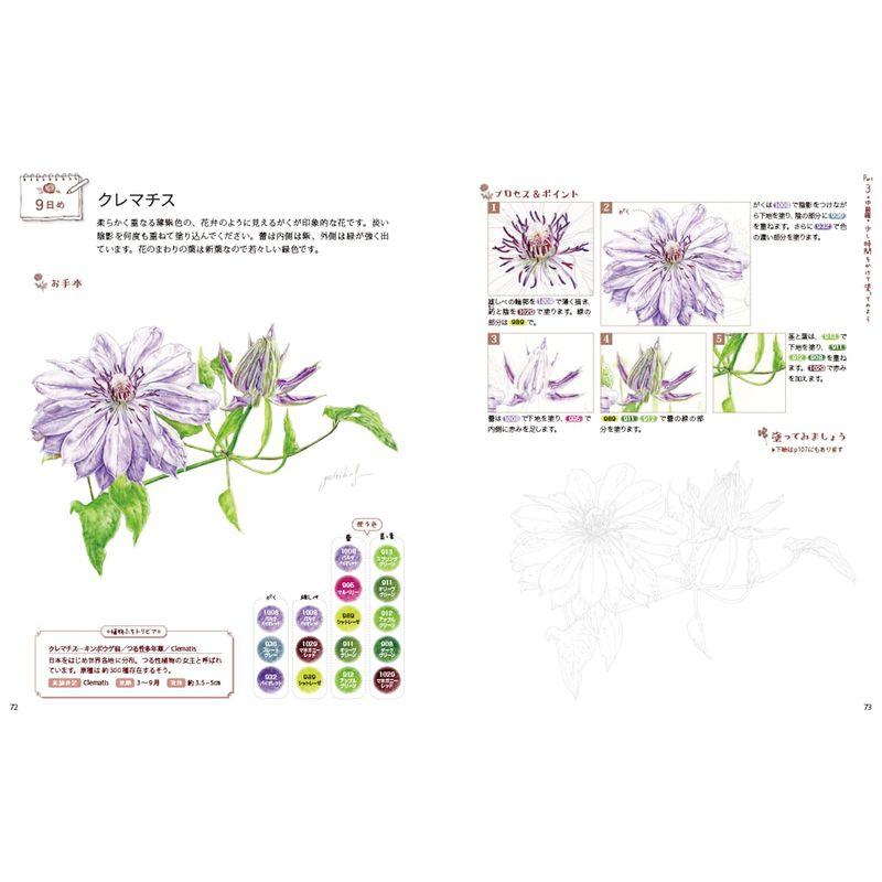 14日間でマスター 描き込み式 色鉛筆で植物画レッスンブック