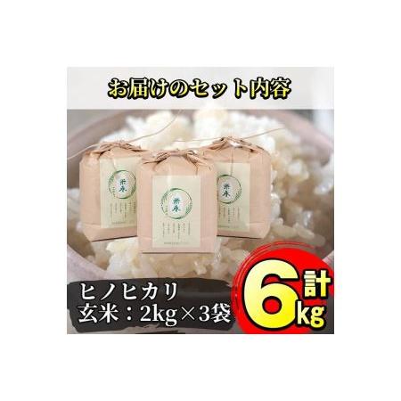 ふるさと納税 y171 名水百選の郷！ヒノヒカリ玄米6kg（2kg×3袋）  鹿児島県湧水町