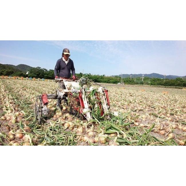 ふるさと納税 兵庫県 南あわじ市 フルーツ玉ねぎ５kg淡路島フルーツ玉ねぎ5kg