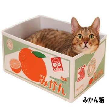 貓窩貓玩具貓抓板能磨爪的貓窩紙箱 底層瓦楞貓抓板寵物紙盒房子
