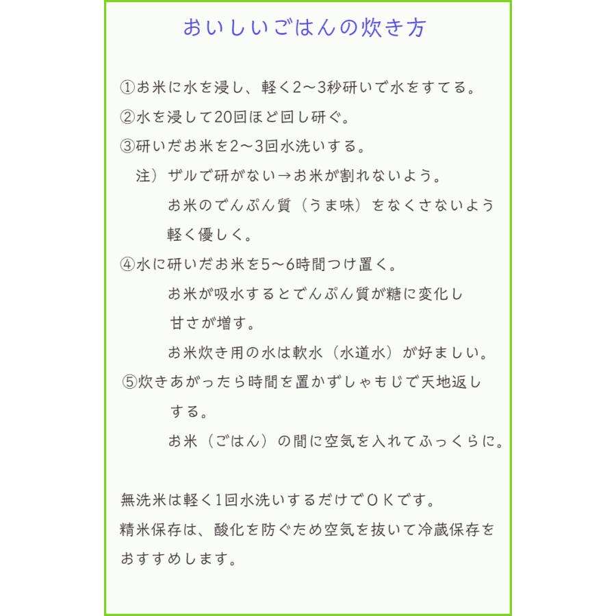 米 お米 雪若丸 5kg  無洗米 特Ａ米 1等米 特別栽培米  山形産 ごはん つきたて  ごはんの炊き方 お米の選び方 ブランド米