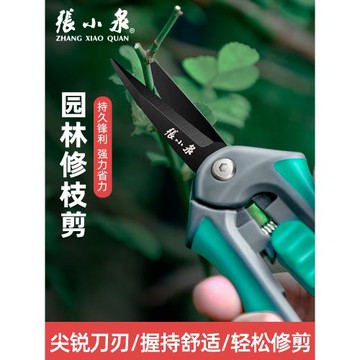 張小泉園藝剪枝剪刀修枝剪果樹園林花藝剪子工具修剪樹枝剪刀花剪