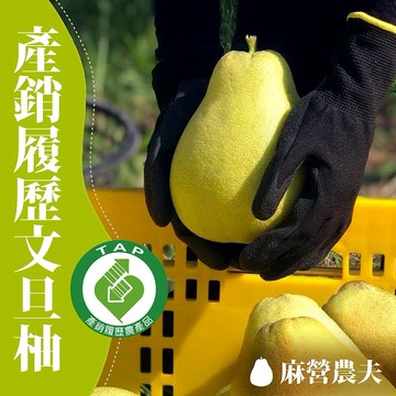 【十翼饌選果】麻營農夫 麻豆文旦柚禮盒 (產銷履歷) | 預購 8月底陸續出貨