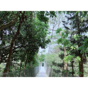 雲林｜99購物節｜龍崎虎形山步道.西螺太平媽.國軍罐頭工廠1日｜高雄出發_23KHHYUN09