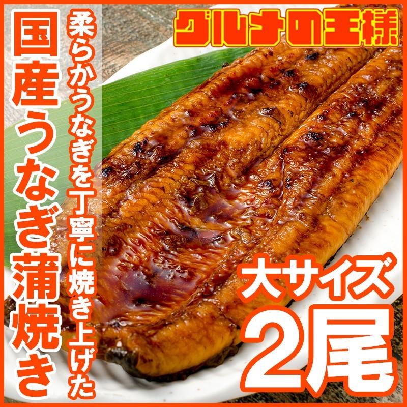 国産うなぎ蒲焼き 大サイズ 平均165g前後×2尾