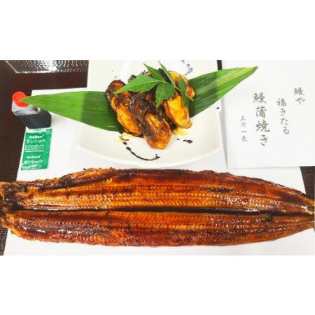 ふるさと納税 三河一色うなぎ蒲焼 2尾 大粒牡蠣 (肝焼き付き) うなぎ 蒲焼 愛知県幸田町