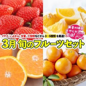 ふるさと納税 旬のフルーツセット 3月号  田舎の頑固おやじが厳選！ 茨城県つくばみらい市