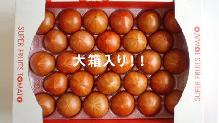 スーパーフルーツトマト 大箱 約2.6kg×1箱 （20～35玉） 糖度9度以上 トマト とまと 野菜 [BC001sa]
