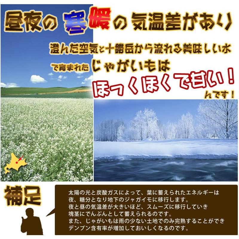 じゃがいも 北海道 きたあかり 1kg 送料無料