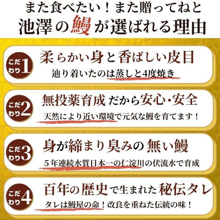 高知県産 うなぎ 蒲焼き 国産 2尾 完全無投薬 仁淀川 誕生日 ギフト 贈答