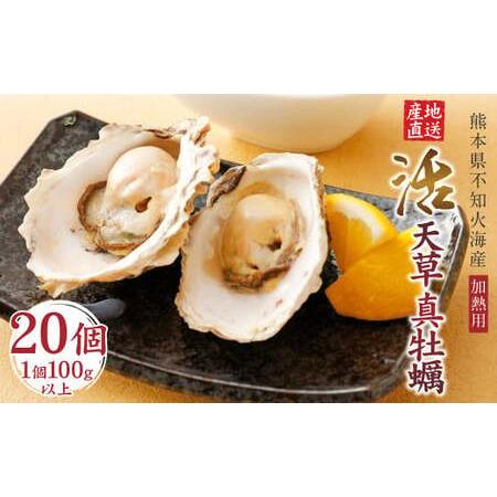 ふるさと納税 活き天草真牡蠣 2kg（100g以上×20個）加熱用かき 牡蠣 カキ 熊本県上天草市