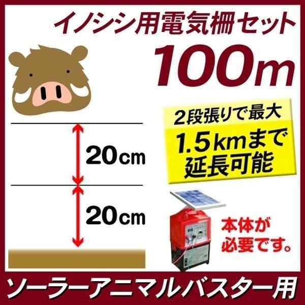 電気柵 動物よけ 猪用電気柵セット100m 1組 ≪代引不可≫ 害獣対策 獣害 国華園 通販 LINEポイント最大0.5%GET  LINEショッピング