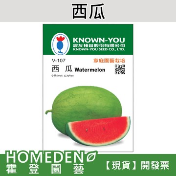 【隔日到貨】西瓜 V-107 小果 紅果 蔬果種子 農友牌 小包裝種子 約10粒/包【HOMEDEN霍登園藝】