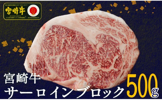 宮崎牛サーロインブロック500g