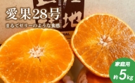  予約 販売  愛果28号 約 5kg 家庭用 みかん 柑橘 果物 フルーツ 松山市 愛媛県 ふるさとチョイス ふるさと納税 ランキング キャンペーン やり方 限度額 仕組み シミュレーション