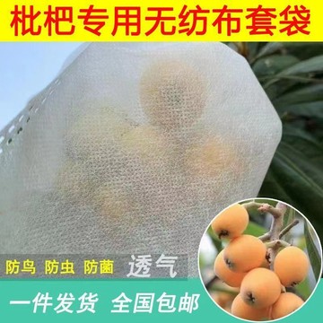 🔥桃園有貨🔥無紡布枇杷果套袋防蟲防鳥防蜂防果蠅葡萄水果套袋專用透氣保護袋 芒果套袋 水果套袋 防蟲網 紗網袋 蔬果套袋