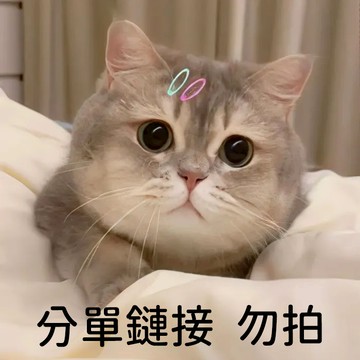 分單連結【請勿隨意下單，下單請聯繫客服】