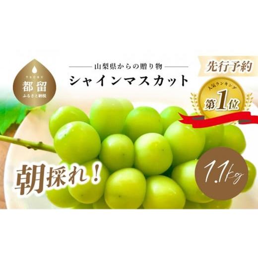 ふるさと納税 山梨県 都留市 山梨県産　シャインマスカット 1.1kg (２房〜3房)