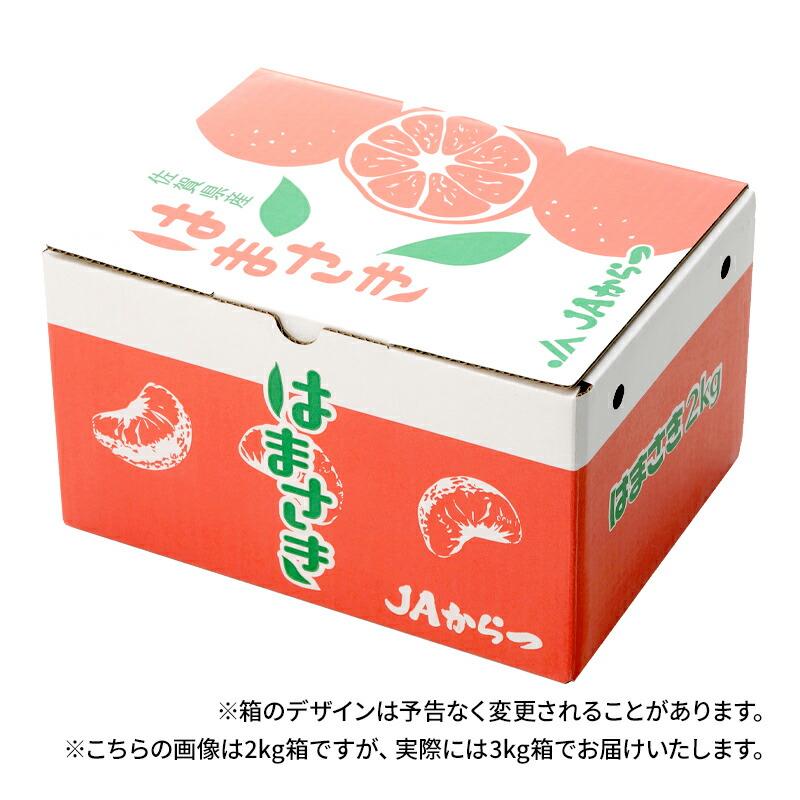  フルーツ 佐賀県産 はまさき 約3kg (L・Mサイズ 17〜21玉)  JAからつ 果物 柑橘  みかん 青果 麗紅 ギフト 高級 送料無料 CG048