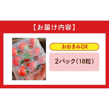 ふるさと納税 宮崎県産 イチゴ おおきみDX 2パック(18粒) いちご 苺 果物 期間・数量限定 宮崎県宮崎市