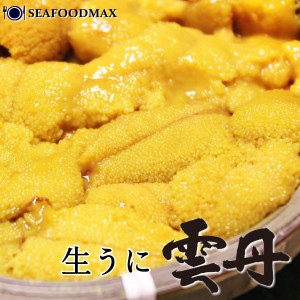 生うに 冷凍 お刺身用 100ｇ うに ウニ 雲丹 寿司 ネタ チリ産・冷凍うに・