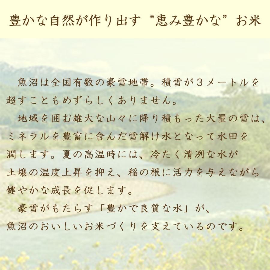 米 お米 魚沼 コシヒカリ 5kg 新潟県産 令和5年産 白米 贈答