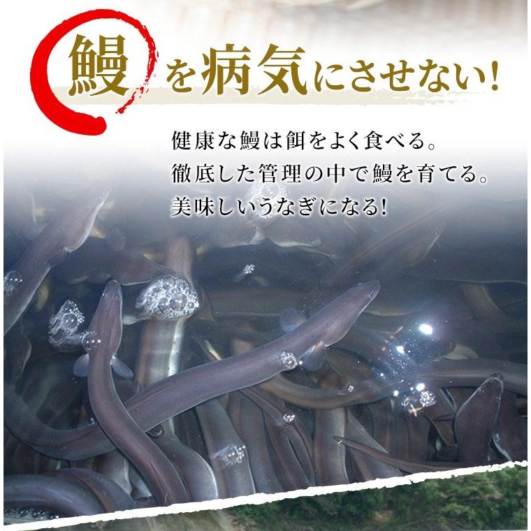 うなぎ 蒲焼き 鰻 国産 鹿児島県産 無投薬 約140g×1尾 化粧箱 ギフト プレゼント お歳暮 御祝い うなぎ蒲焼き ウナギ