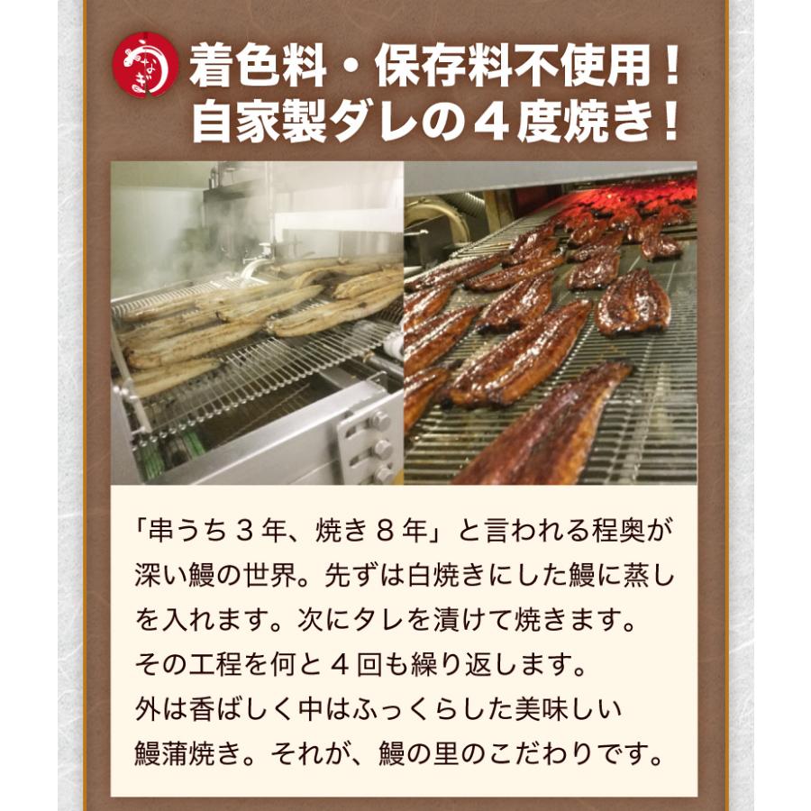 御歳暮 お歳暮 送料無料 ギフト おこわ2種食べ比べ うなぎ＆和牛しぐれ 4個セット 宮崎産黒毛和牛しぐれ煮 鹿児島県産うなぎ 佐賀産もち米 クール