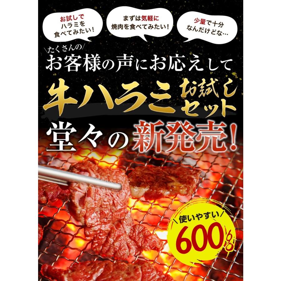 期間限定2680円 牛ハラミ600g 焼肉セット BBQ ホルモン 冷凍食品 特産品 名物商品 バーベキュー お試し 訳あり 牛肉