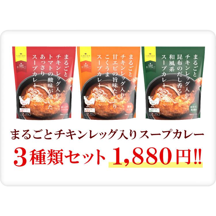 まるごとチキンレッグ入り スープカレー ３種類セット（あっさりトマト味・濃厚エビ味・昆布だし和風味）レトルト ３袋（代引不可・着日指定不可・同梱不可）